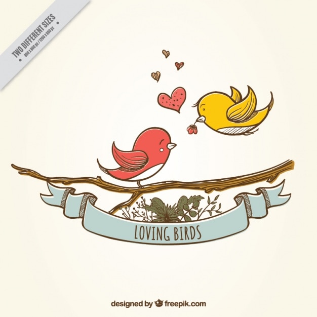 Free vector cute background of hand-drawn birds in love