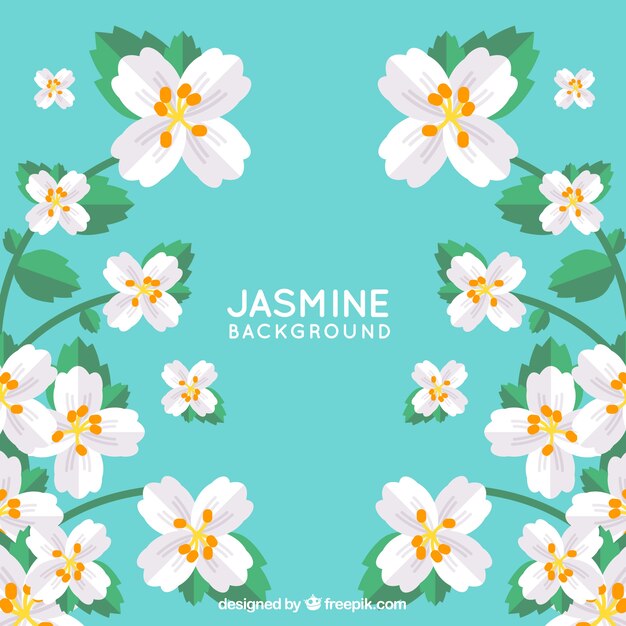 Cute background with jasmine in flat design