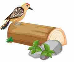 Free vector cute bird standing on log