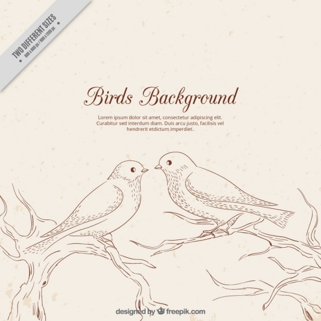 Бесплатное векторное изображение Фон симпатичные птицы