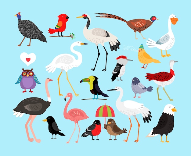 Бесплатное векторное изображение Набор иллюстраций милые птицы
