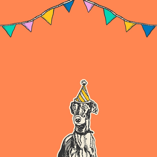 Cute birthday orange background with vintage greyhound dog in party cone hat