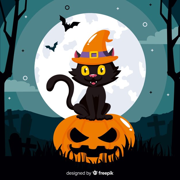 Cute black cat sitting on a pumpkin