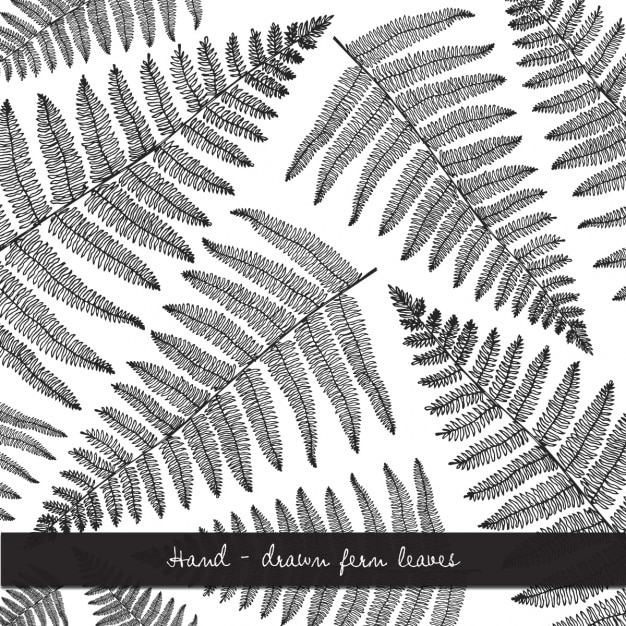 Free vector cute black and white floral background