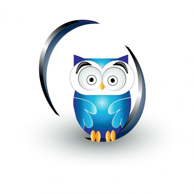 Cute blue owl design