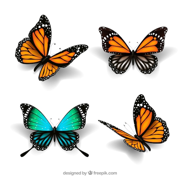 Free Free 329 Cute Butterfly Svg Free SVG PNG EPS DXF File