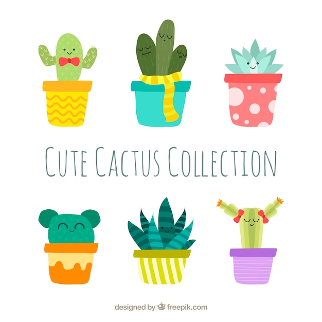 Cute collezione di cactus