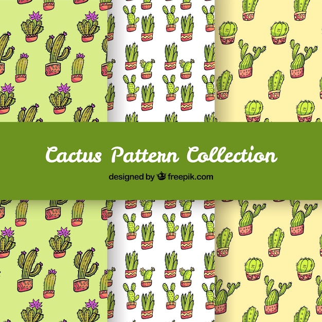 Cute cactus pattern collection