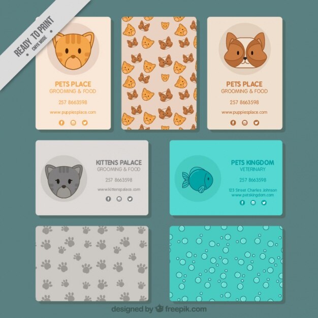 Cute cards for a pet shop