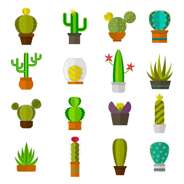 サボテン メキシコ 植物 アイコン イラスト デザイン プレミアムベクター