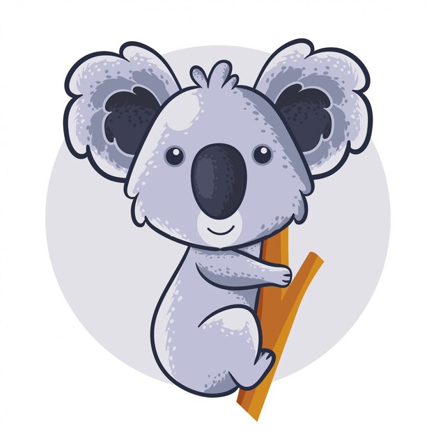 koala baby company