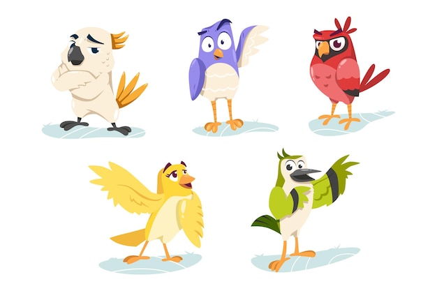 Cute Cartoon colorful bird character collection set