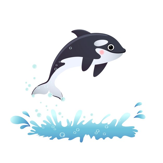 シャチのイラスト 無料のベクター