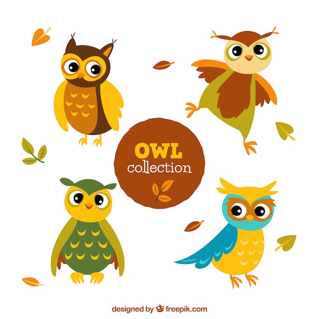 Cute cartoon owl pack