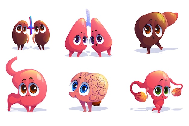 Free vector cute characters of human internal organs