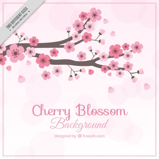 Cute cherry tree background