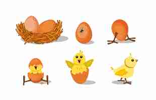 Free vector cute chick hatching set