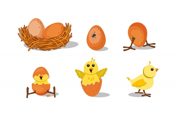 Cute chick hatching set