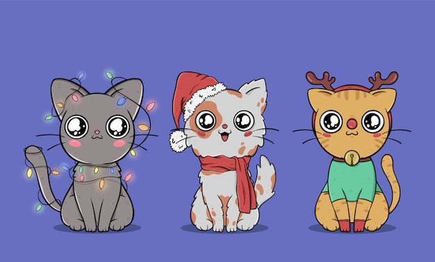 Коллекция симпатичных рождественских кошек