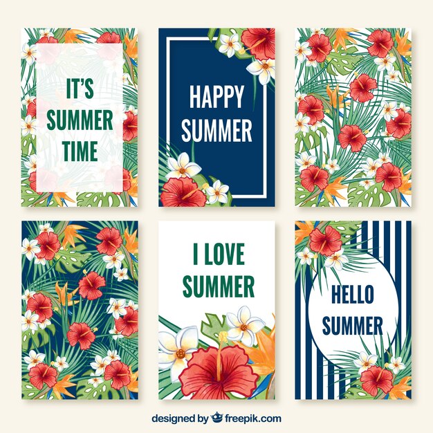Cute collection cards of summer