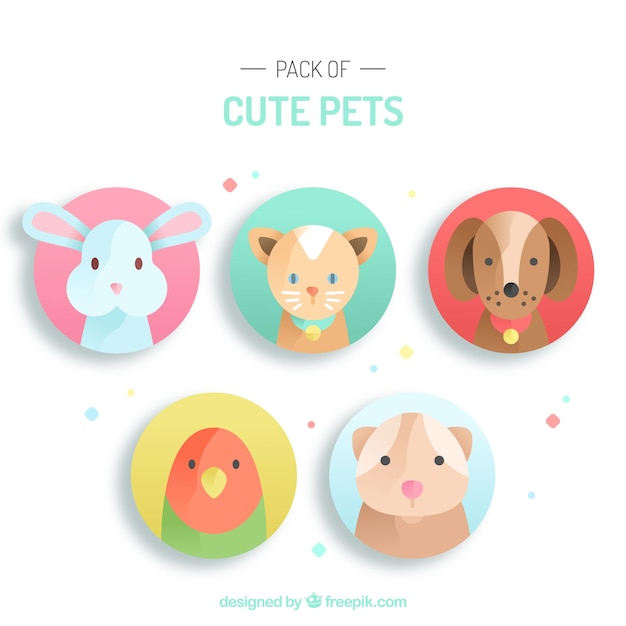 Cute collection of lovely pets