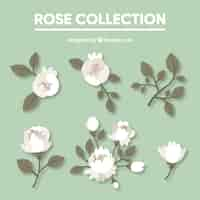 Free vector cute collection of white and gray roses