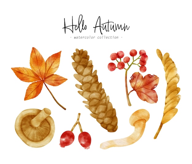 Free vector cute colorful autumn organic watercolor illustration for decorative element