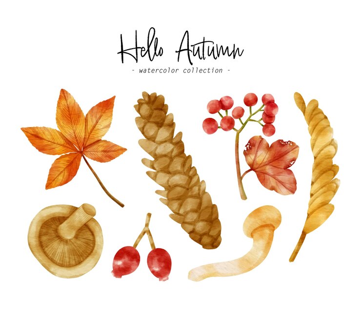 Free Vector cute colorful autumn organic watercolor illustration for decorative element