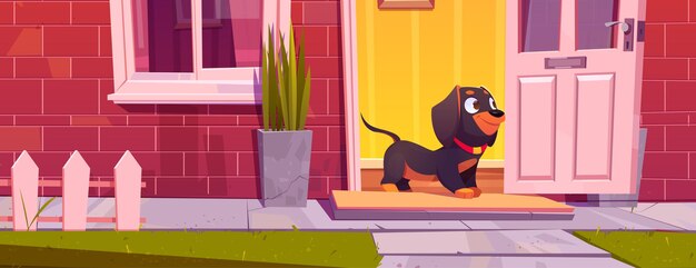 Симпатичная собака такса стоит у двери дома, домашнее животное идет на прогулку. Забавный персонаж мультфильма домашних животных в дверном проеме коттеджа с окном, красный кирпич и забор, щенок в доме снаружи, векторные иллюстрации
