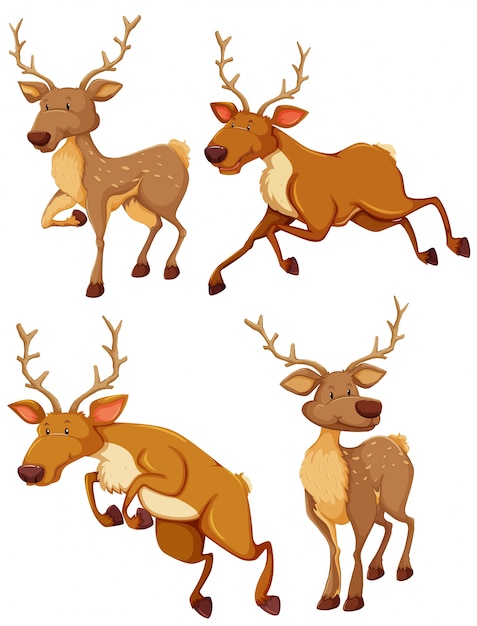 Cute deer in four different posts illustration