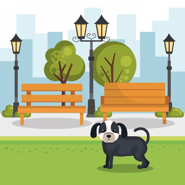 Free vector cute dogs in the park scene