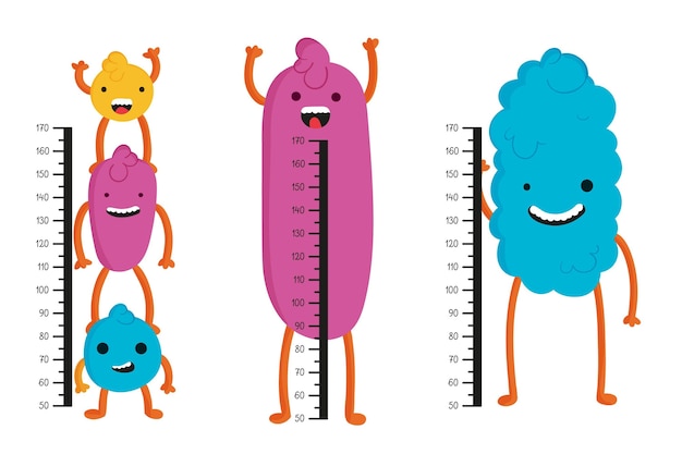 Cute drawn height meters pack illustrated