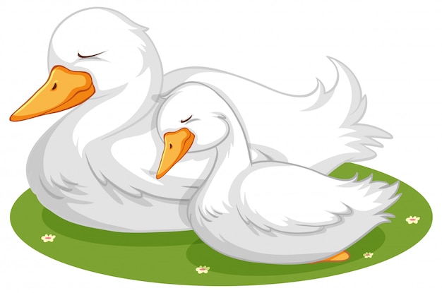 Free vector cute duck sleeping on grass