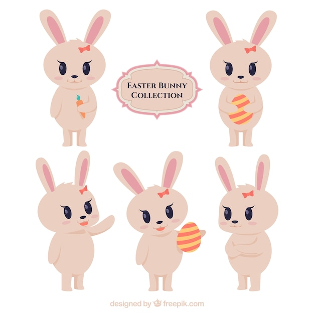 Cute easter bunny collection