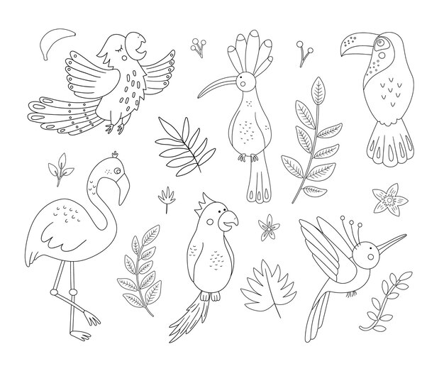 コンゴウインコのオウムの鳥の手描きイラスト 動物の孤立したリアルなスケッチ プレミアムベクター