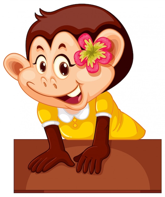 Cute female monkey character