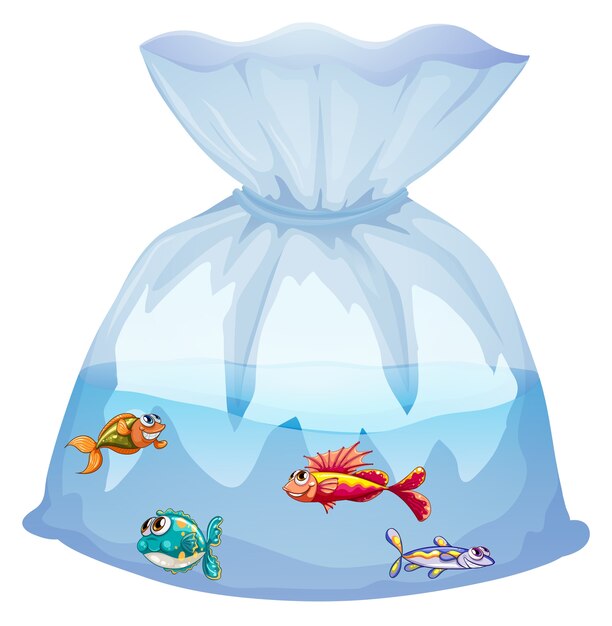 Fish Bag Images - Free Download on Freepik