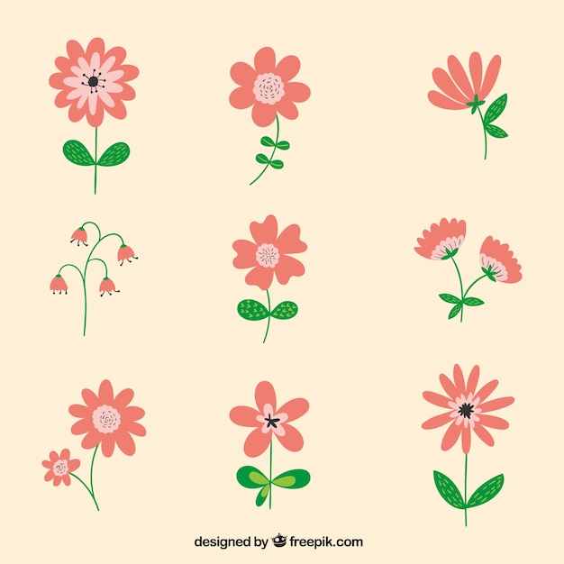 Cute flower collection