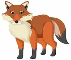 Free vector cute fox in flat cartoon style