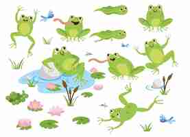 Free vector cute frog cartoon characters illustrations set