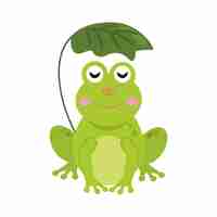 Free vector cute frog illustration