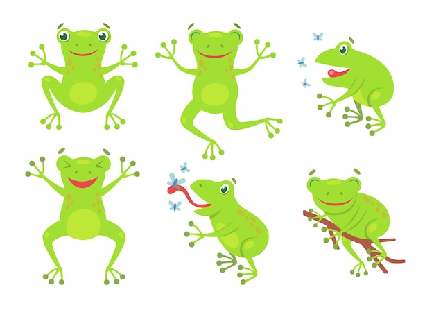 かわいいカエルの漫画イラストセット。面白い緑の鳴き声のヒキガエルとカエルは、白い背景で隔離のハエをジャンプしてキャッチします。生物学、自然、動物の概念のフラットベクトルコレクション
