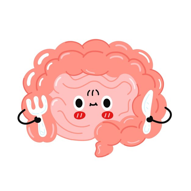 かわいい幸せな面白い人間の腸の臓器セットのコレクション ライン漫画かわいいキャラクターイラストアイコン 白い背景の上 消化管のコンセプト プレミアムベクター