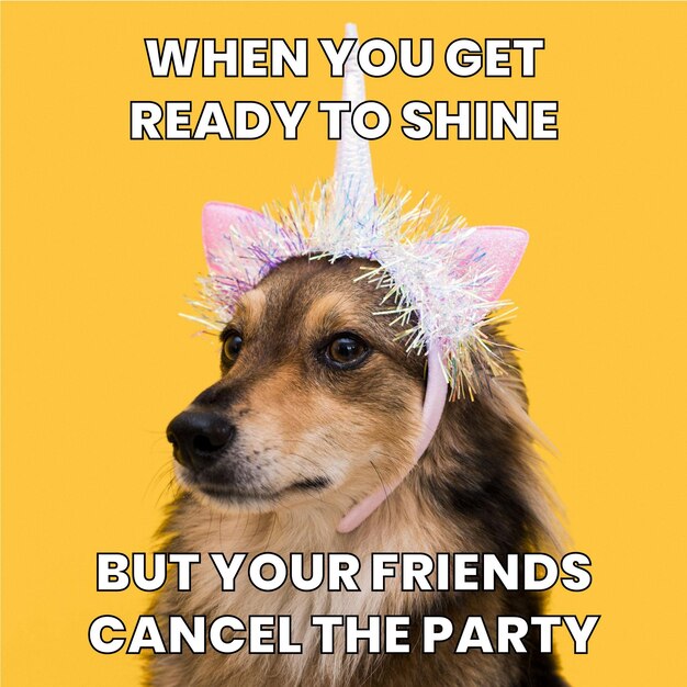 Cute funny ready to shine party meme