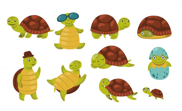 カメのイラストの描画スタイル プレミアムベクター