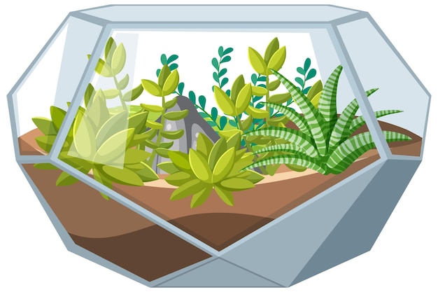 Free vector cute glass geometric terrariums with succulents on white backgro