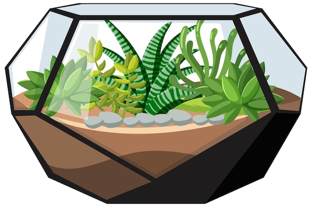 Free vector cute glass geometric terrariums with succulents on white backgro