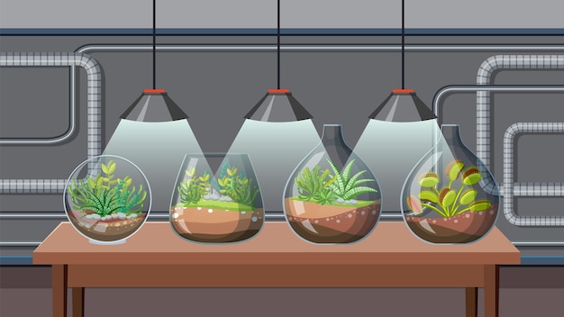 Free vector cute glass terrariums with succulents in lab