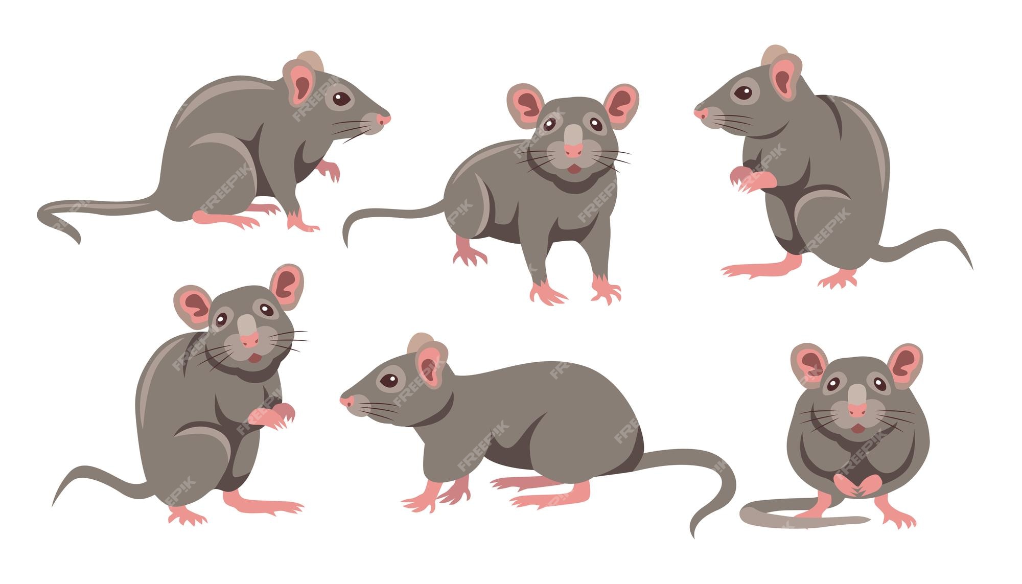 Free Vector | Cute grey mouse in different poses cartoon illustration set.  little house mice or rat character with long tail isolated on white  background. animal, rodent concept