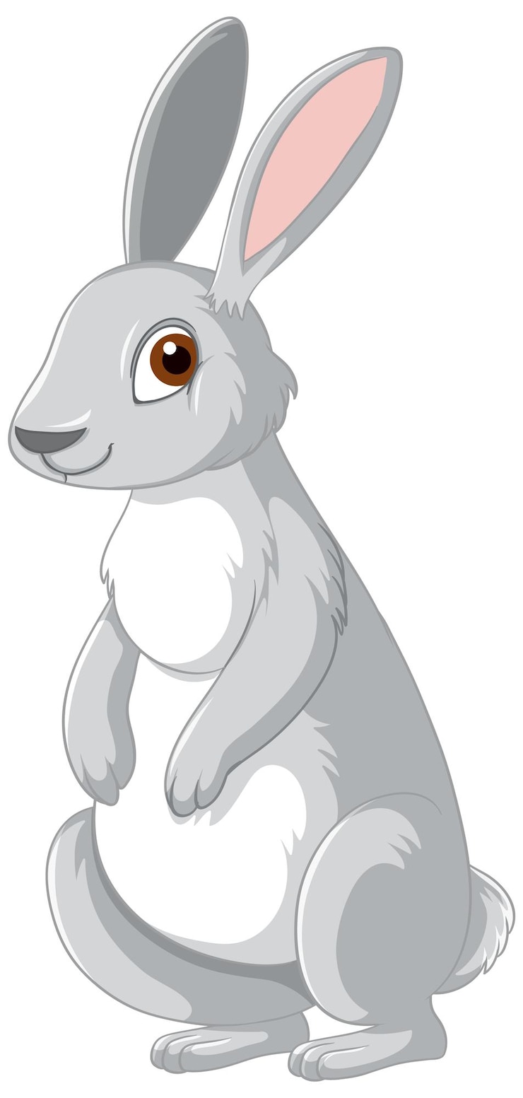 Free Vector cute grey rabbit cartoon character